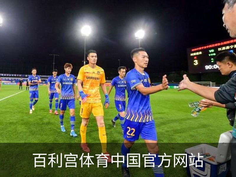 百利宫体育中国官方网站概况